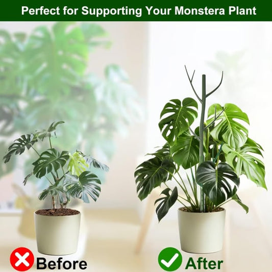 5-pack växtstödspinnar